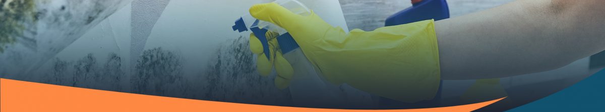 Mold Removal Services in Toronto - Fresh Air Abatement